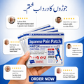 Japanese pain relief patch (herbal product)